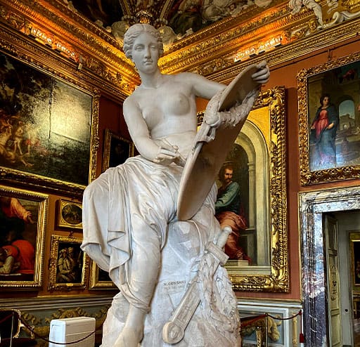PITTI PALACE - ( PALAZZO PITTI )
